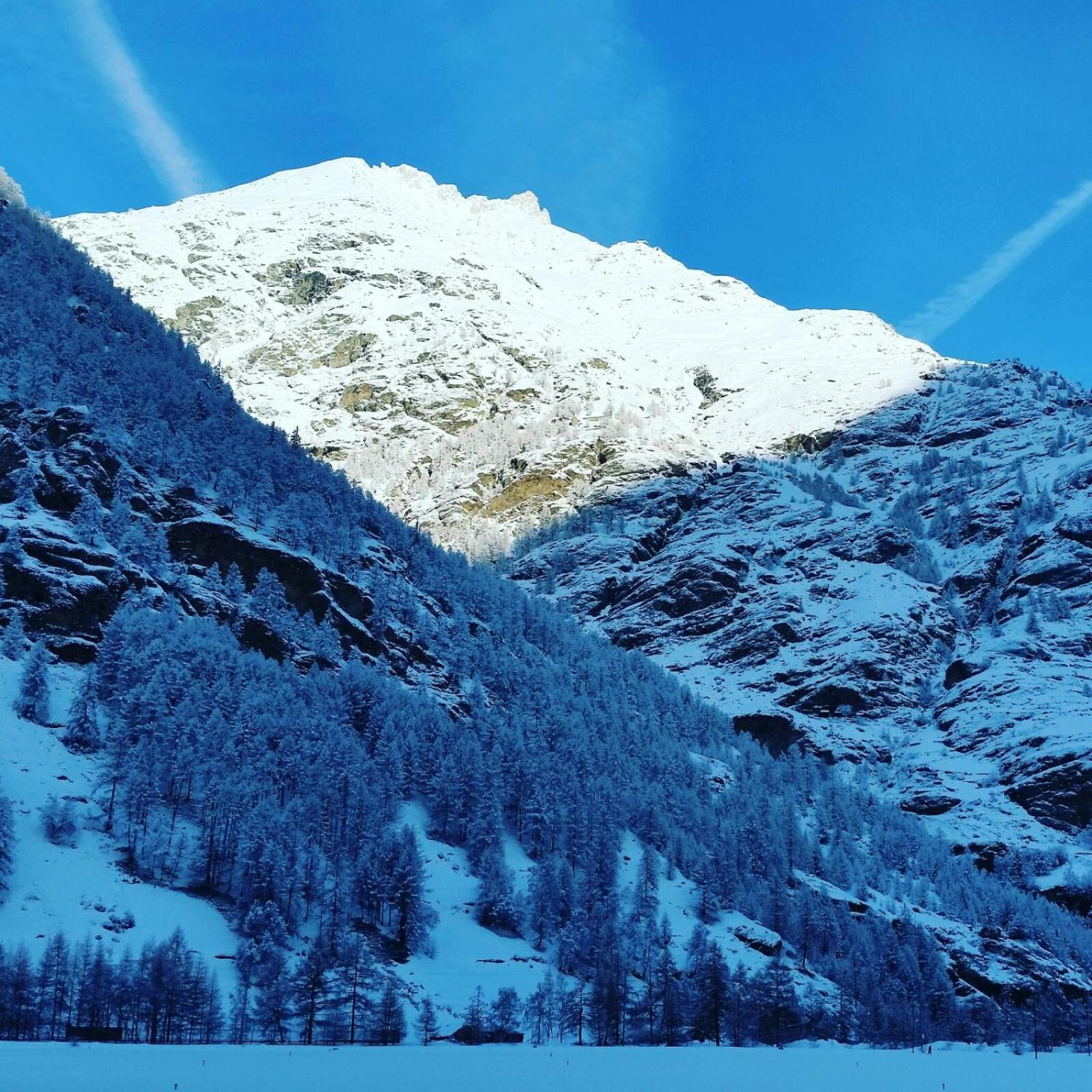 Monte Rosa Taesch, Apartments Mit Wellness Bereich Extérieur photo